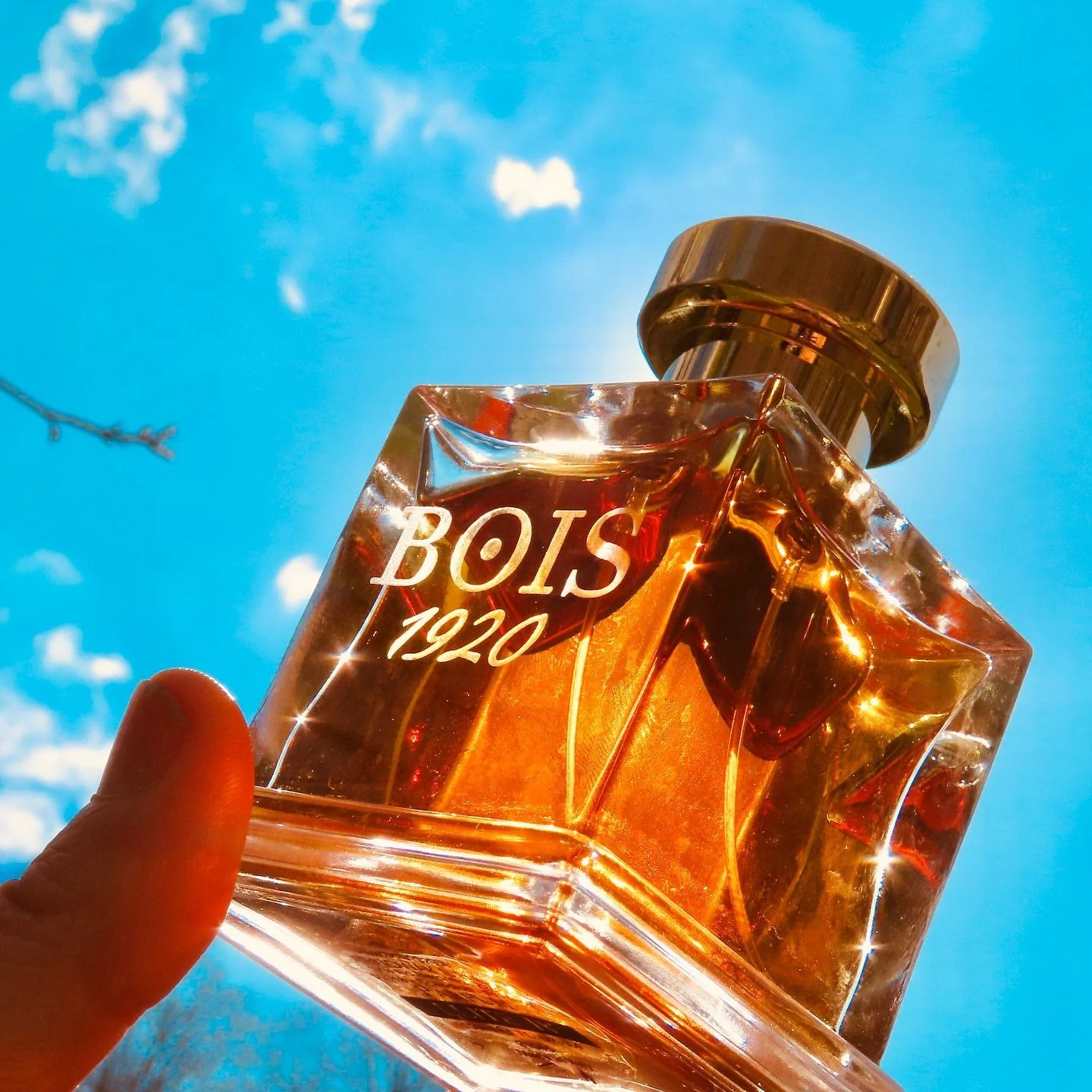 Bois 1920 Elite Iv Parfum - Image 3