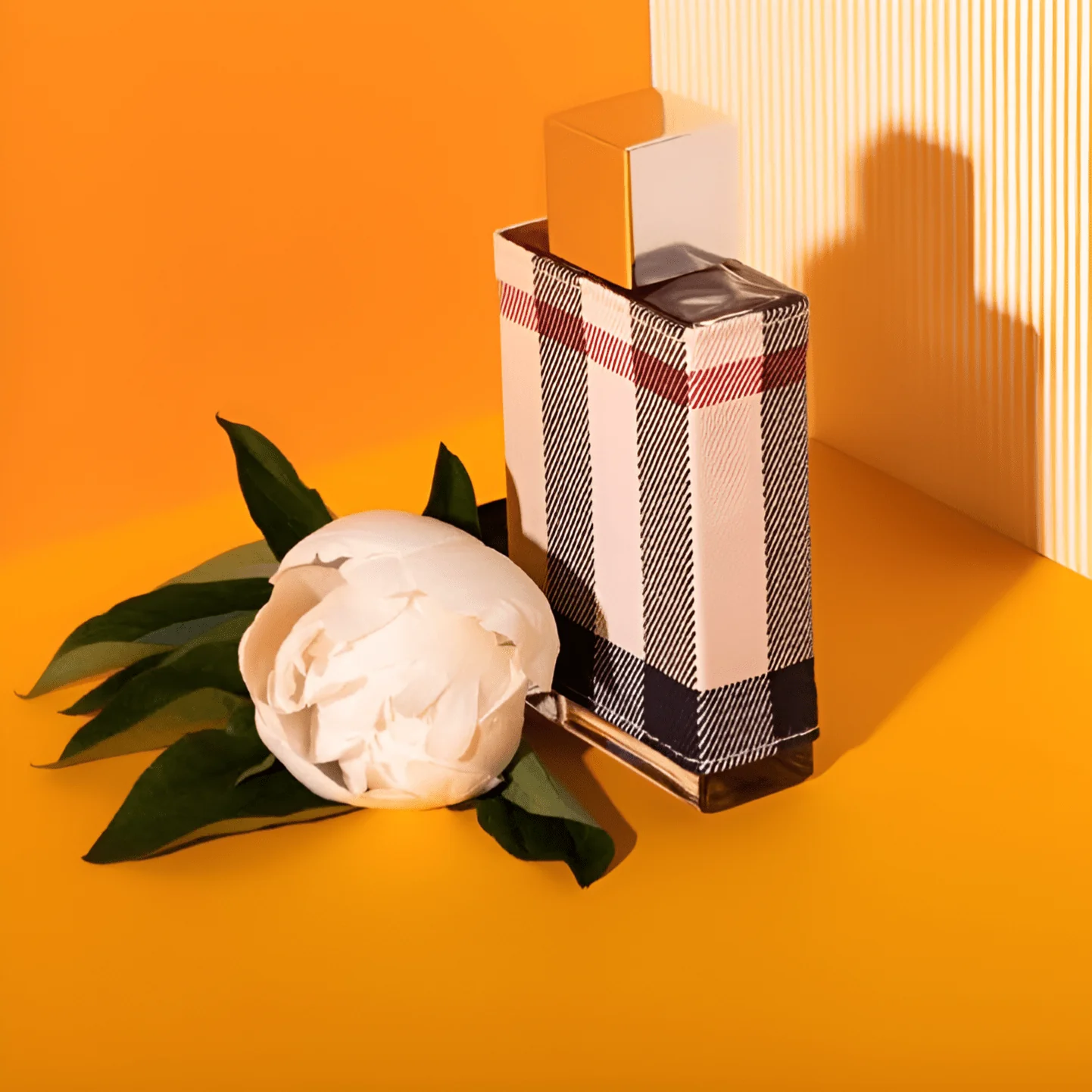 Burberry London EDP - Image 4
