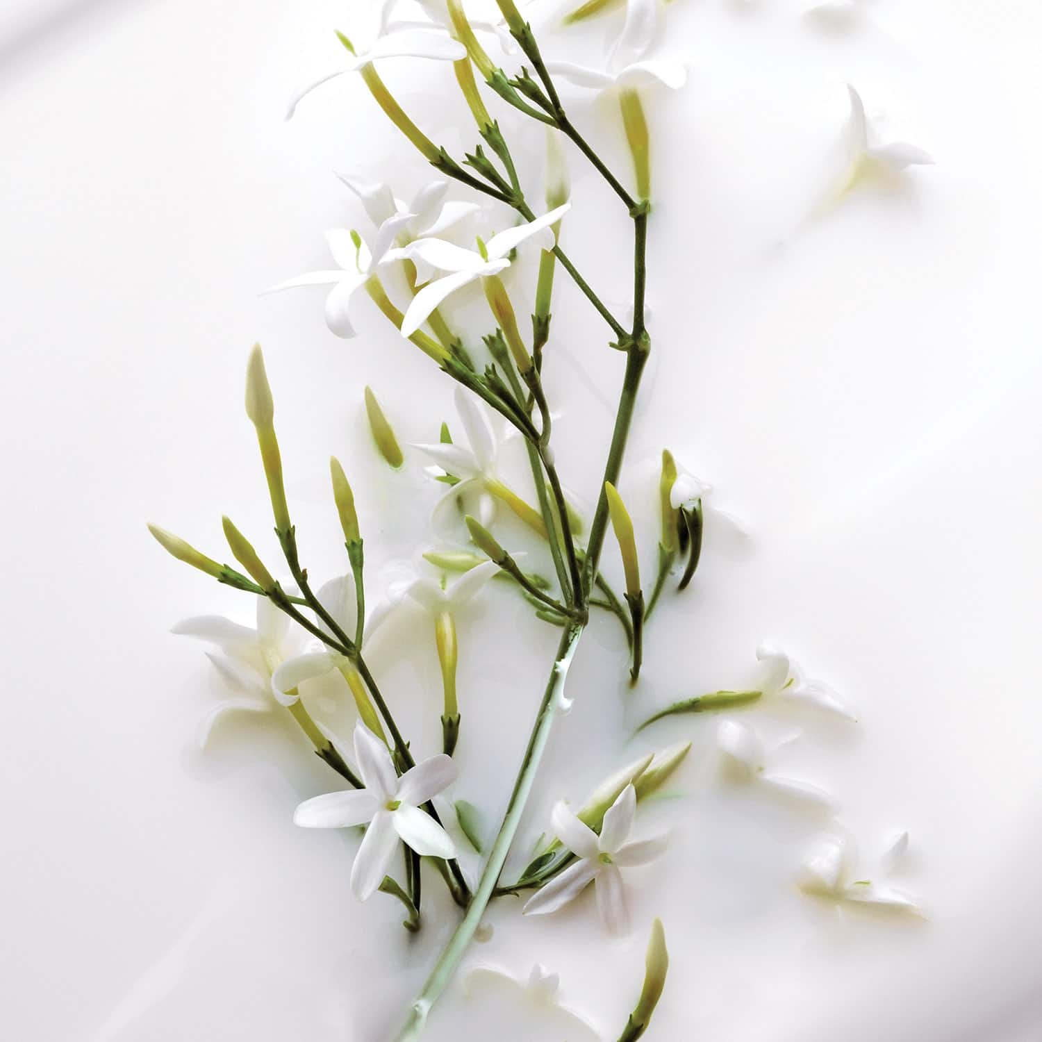 Dior J'Adore Parfum Hair Mist - Image 3