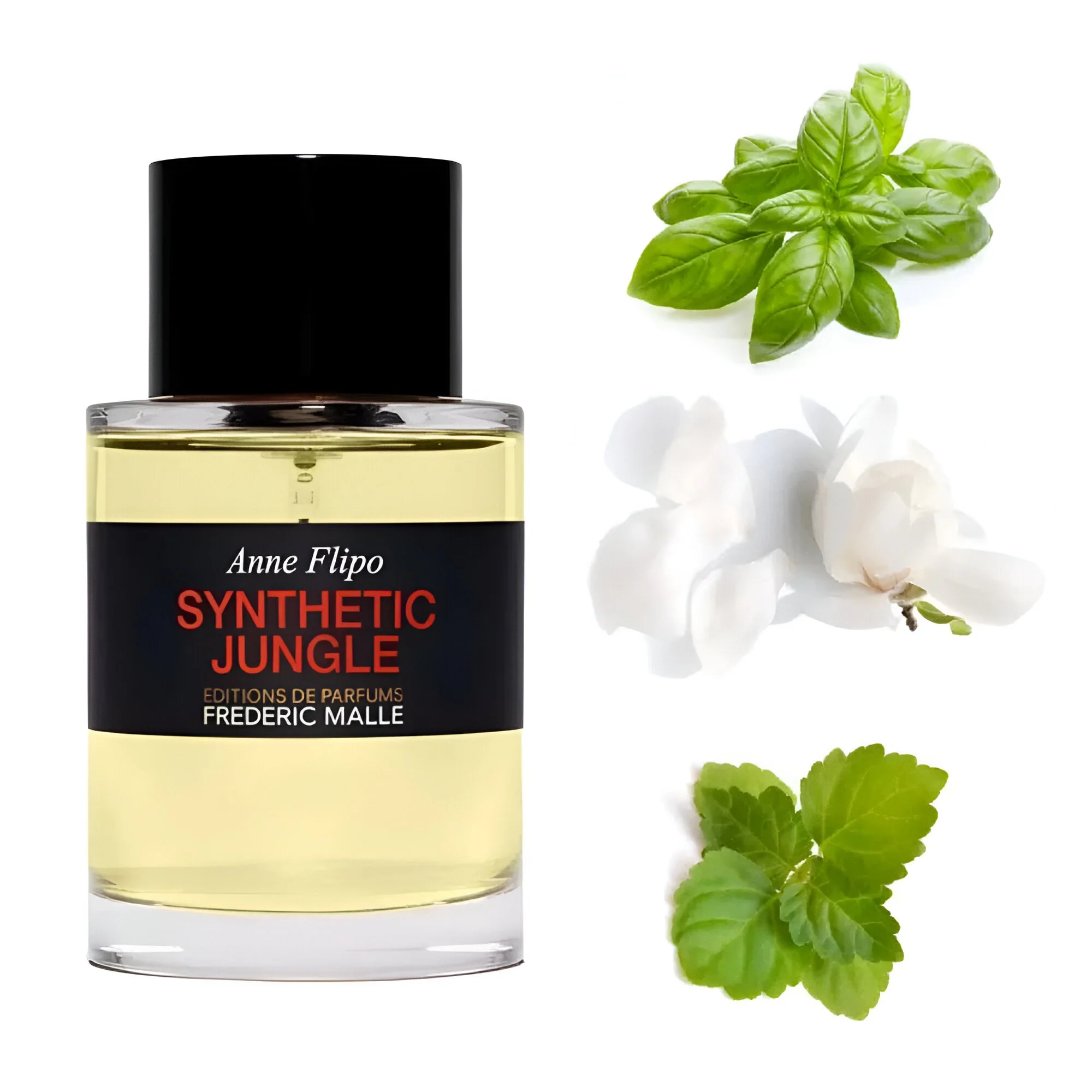 Frederic Malle Synthetic Jungle EDP - Image 6