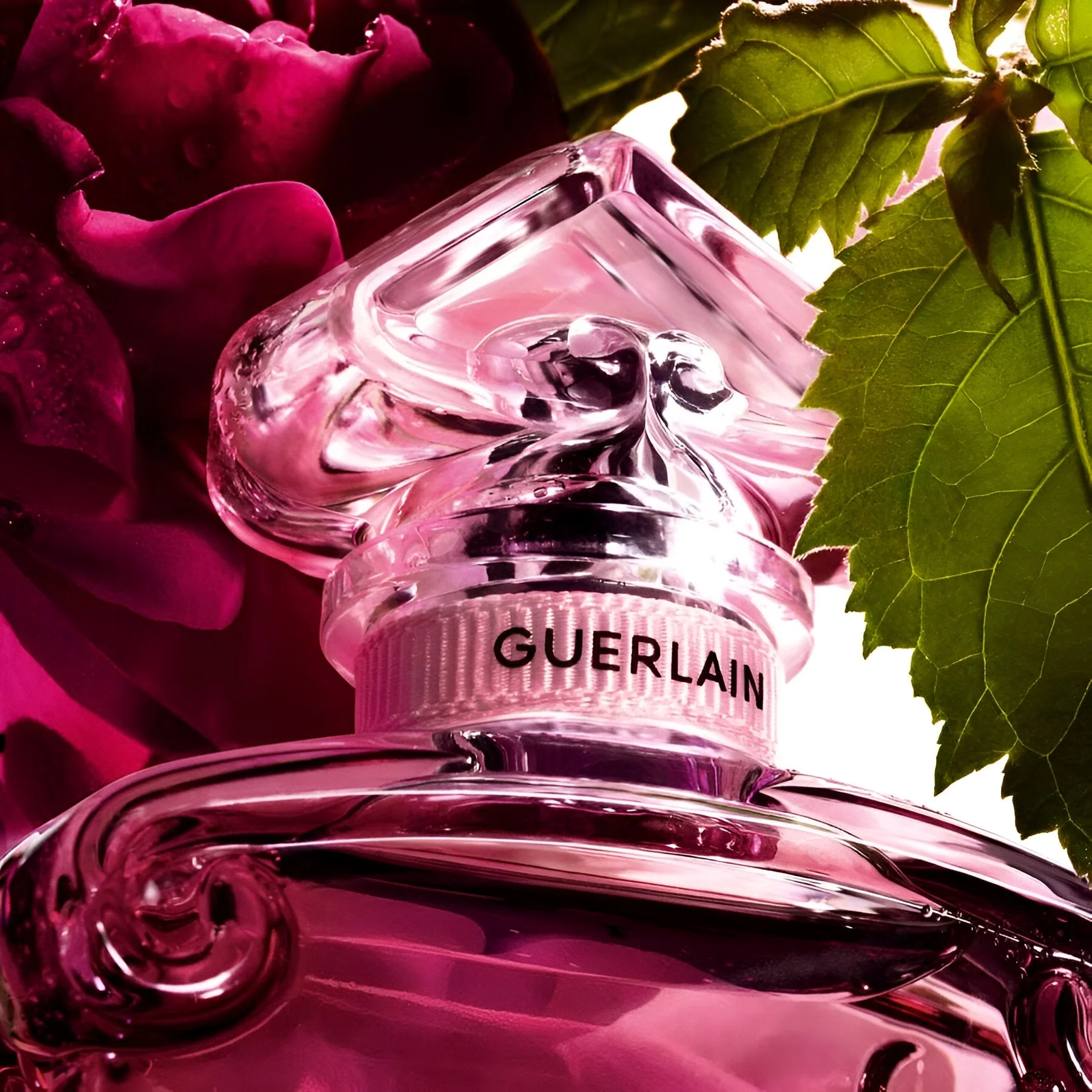 Guerlain La Petite Robe Noire EDP Absolue - Image 2