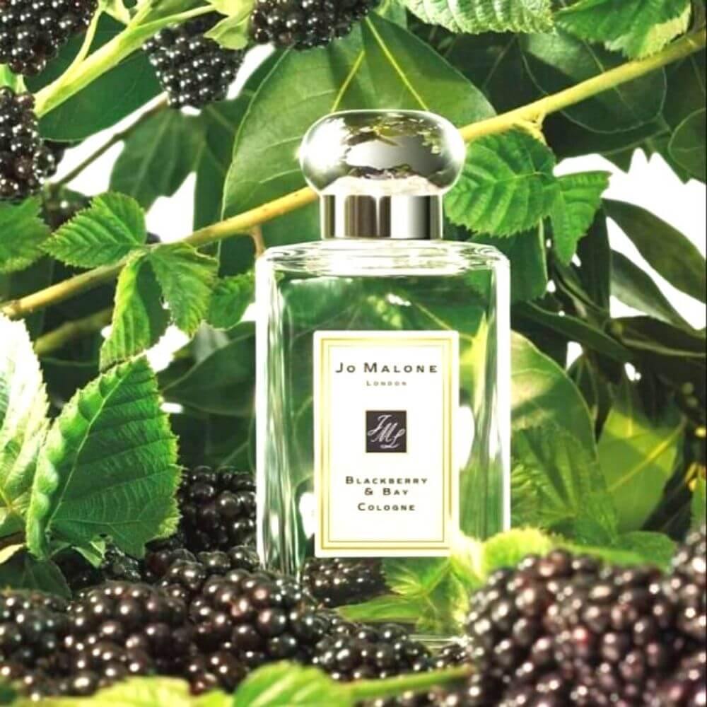 Jo Malone Blackberry & Bay Cologne - Image 3