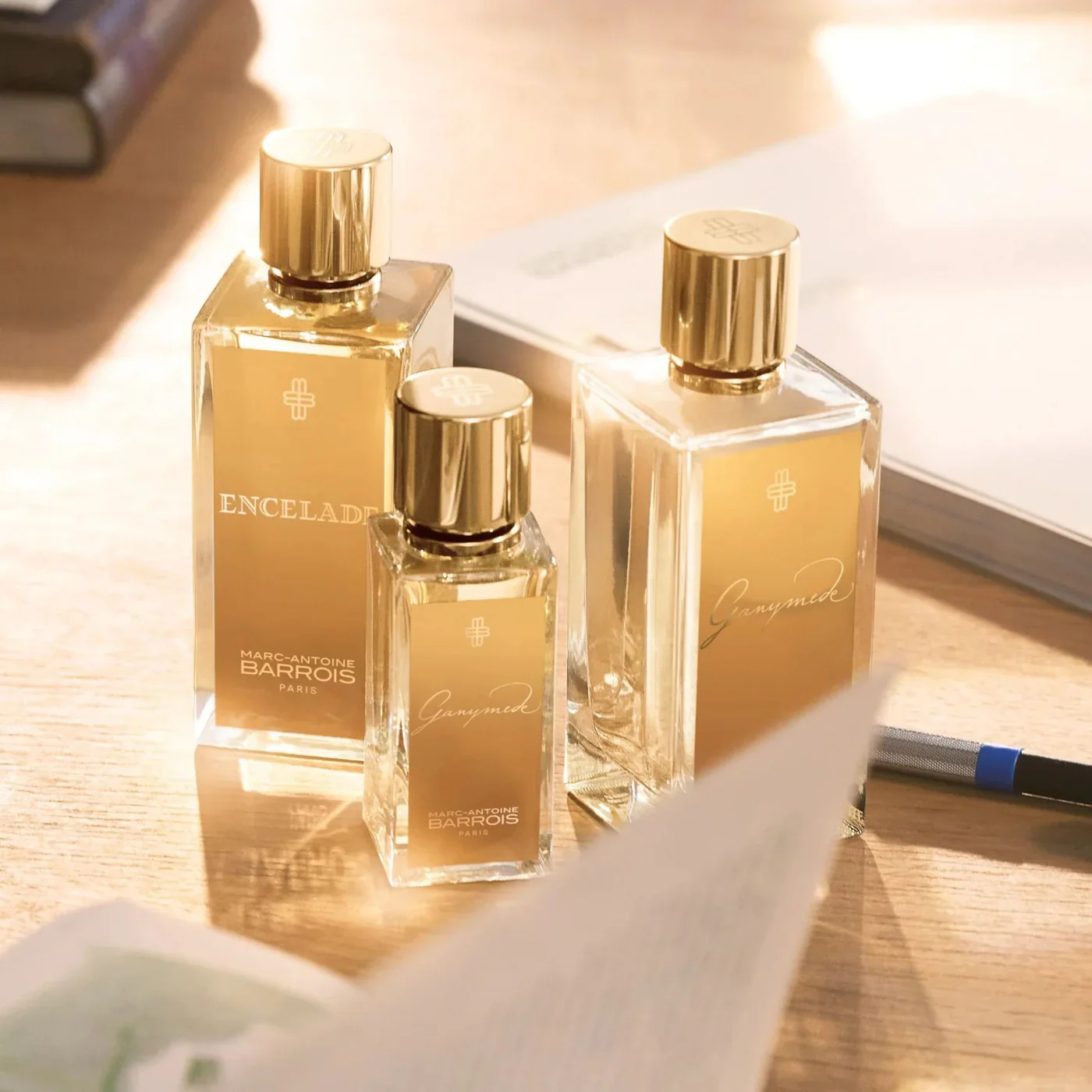 Marc Antoine Barrois Ganymede EDP - Image 3