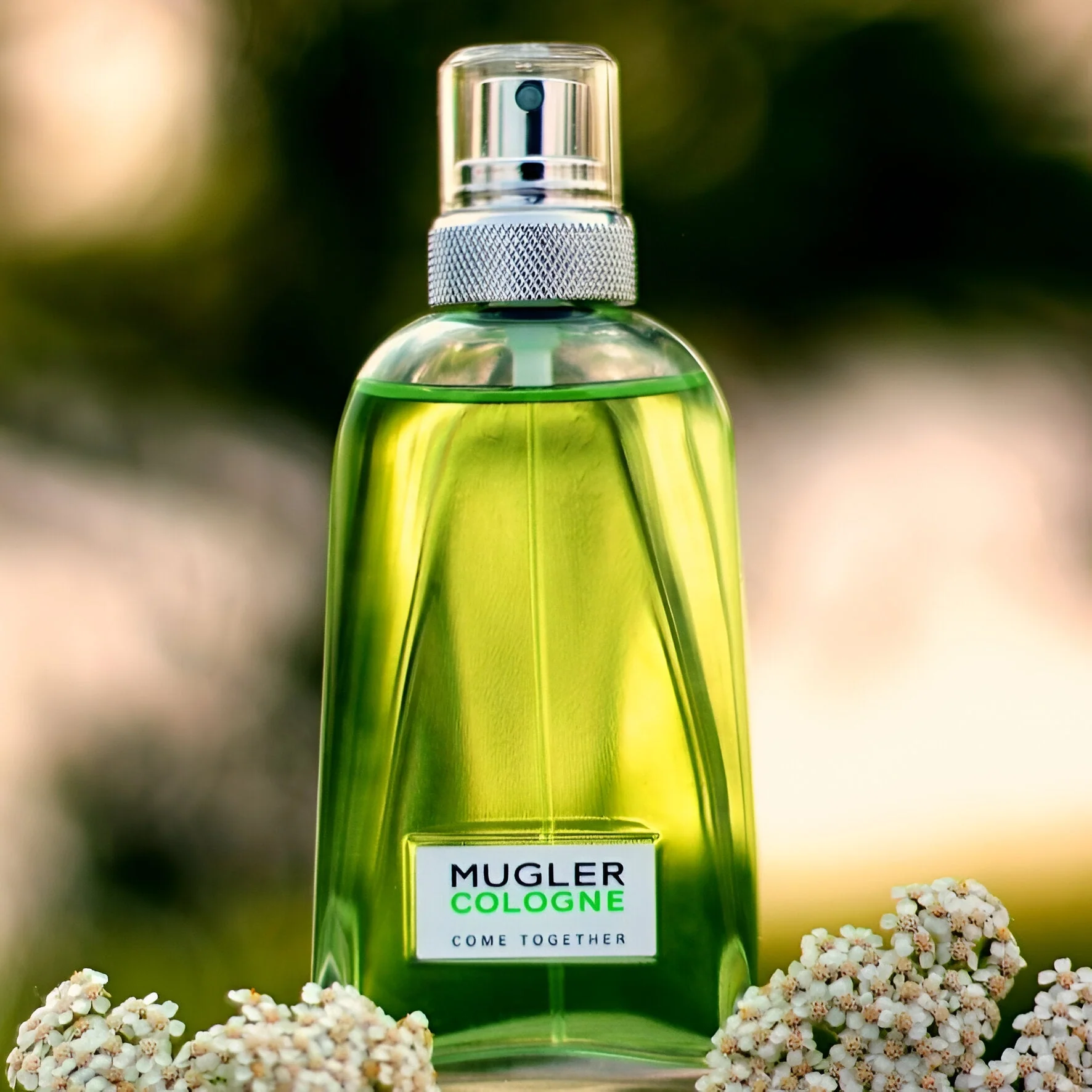 Mugler Cologne Come Together EDT - Image 2