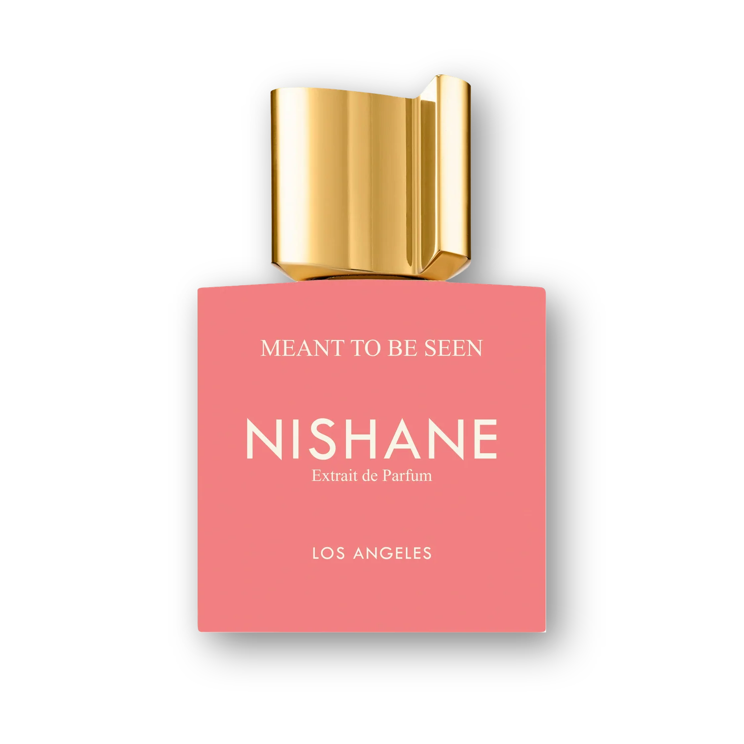 Nishane Meant To Be Seen Extrait de Parfum