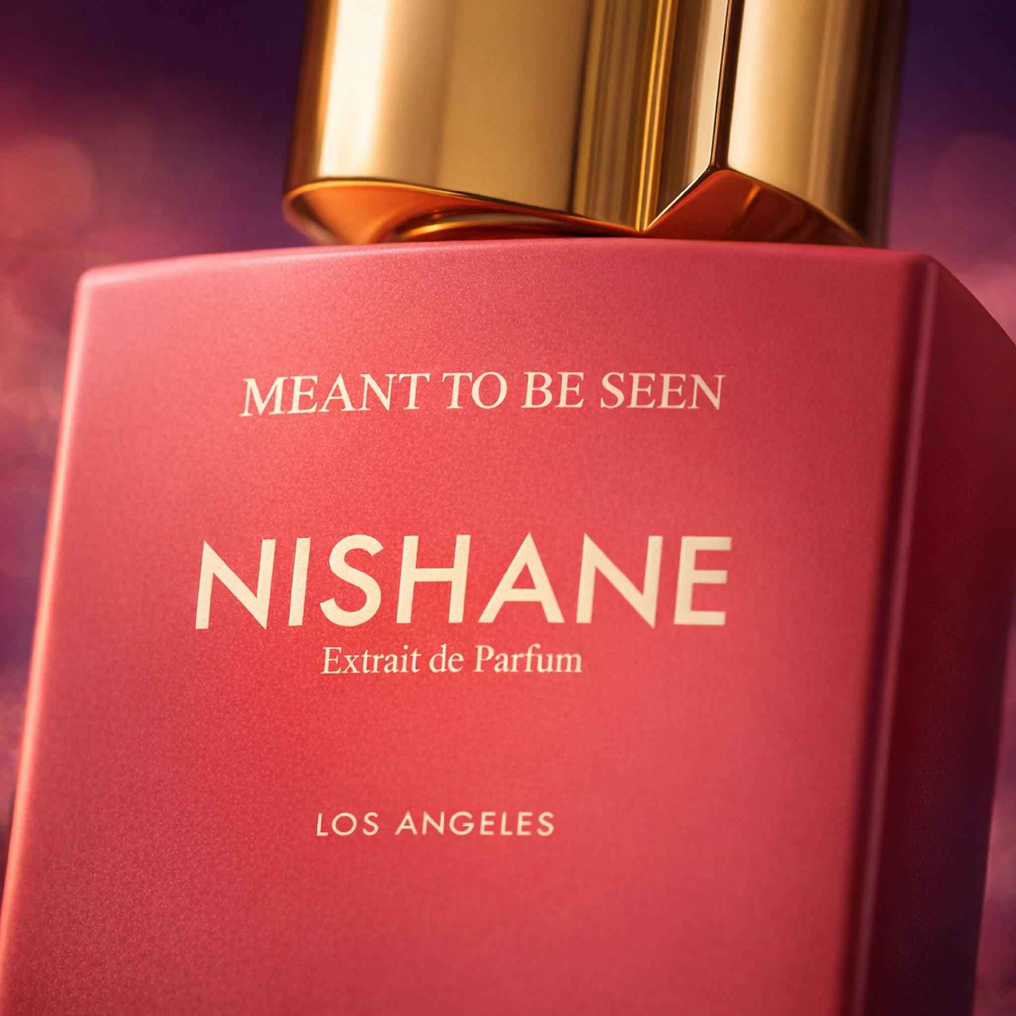 Nishane Meant To Be Seen Extrait de Parfum - Image 3