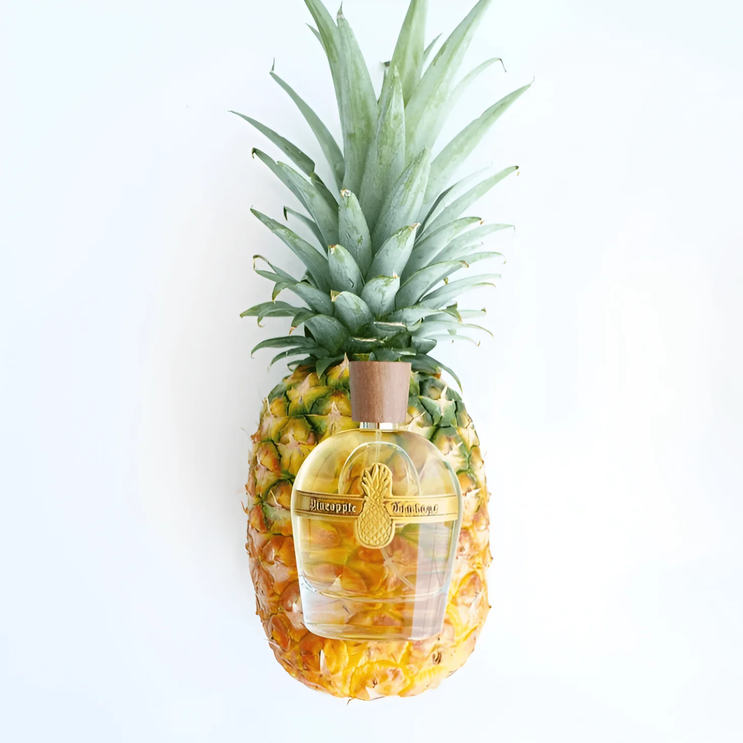 Pineapple Parfums Vintage Vanilla Intense EDP - Image 3