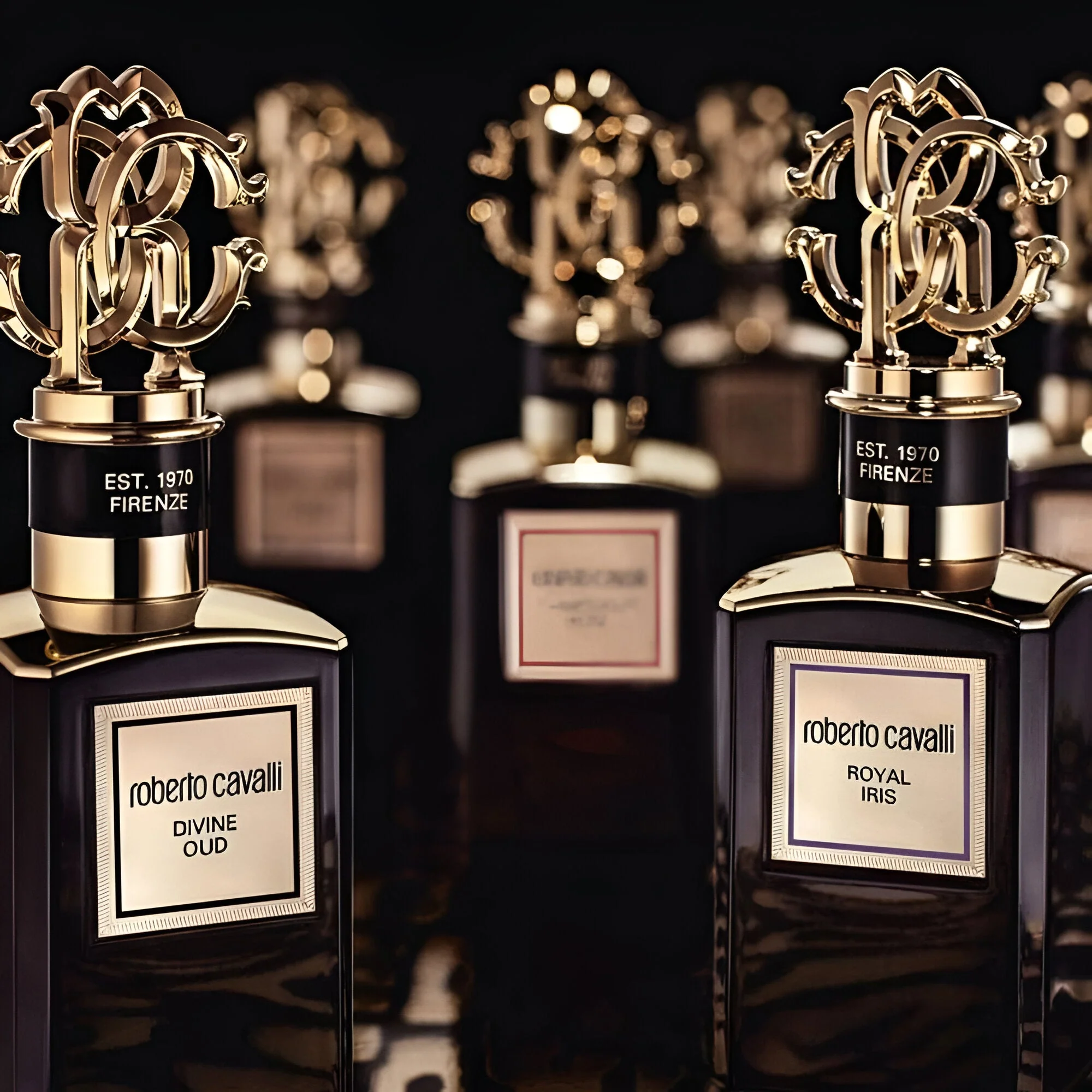 Roberto Cavalli Gold Collection Divine Oud Intense EDP - Image 4