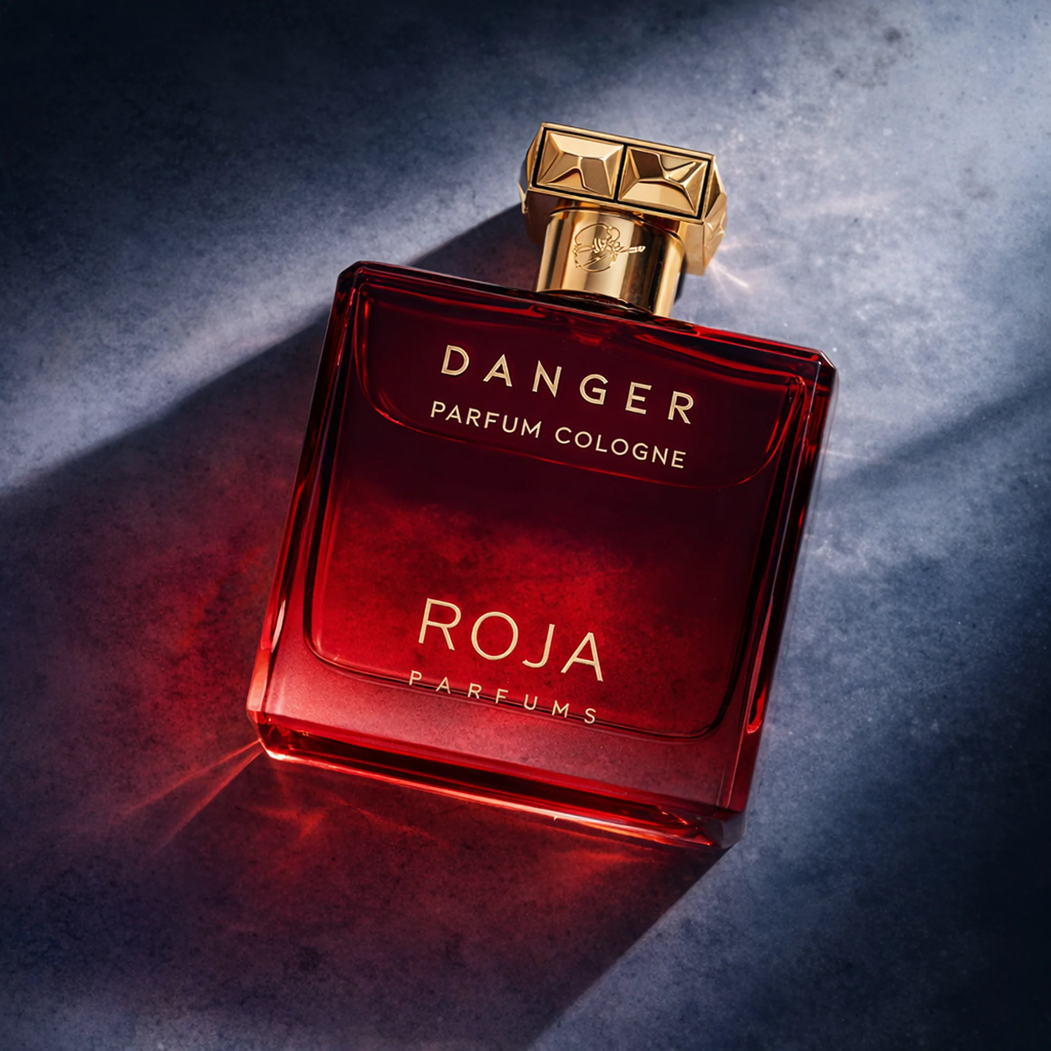 Roja Parfums Danger Pour Homme Parfum - Image 2