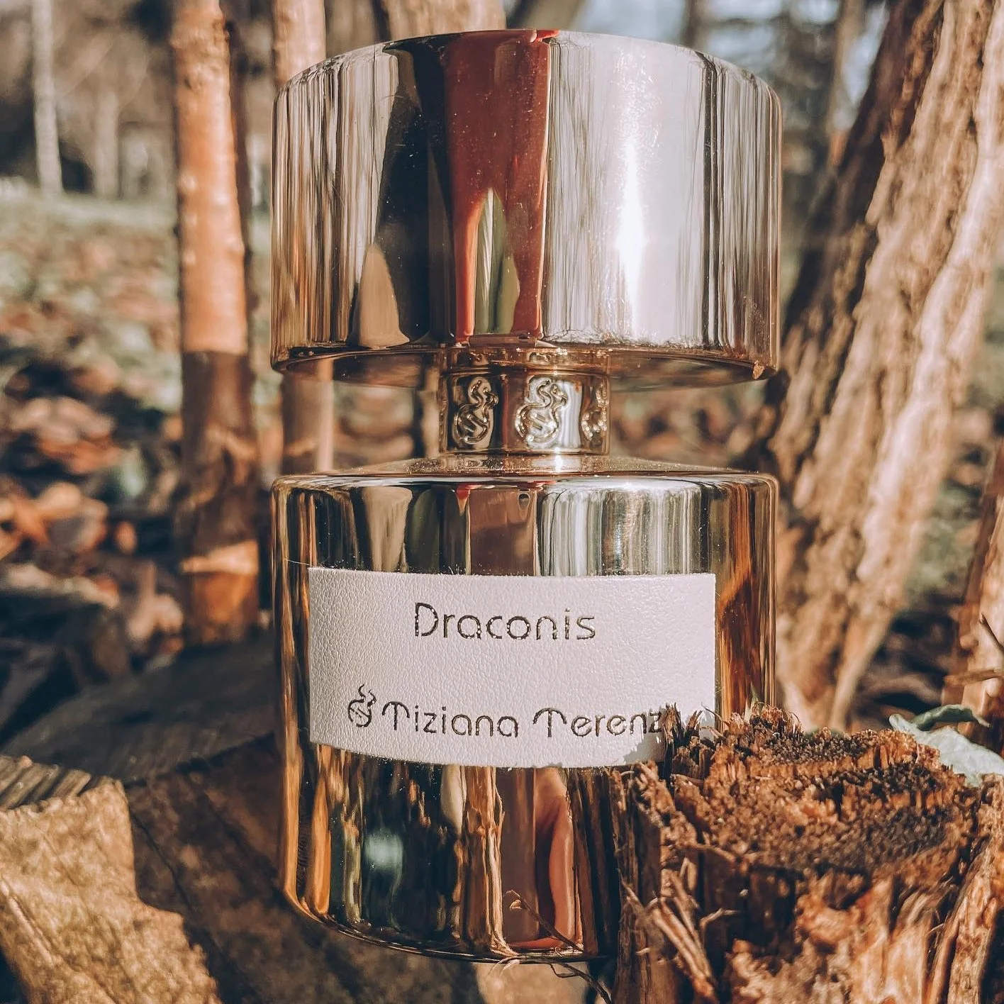 Tiziana Terenzi Luna Star Collection Draconis Extrait De Parfum - Image 4