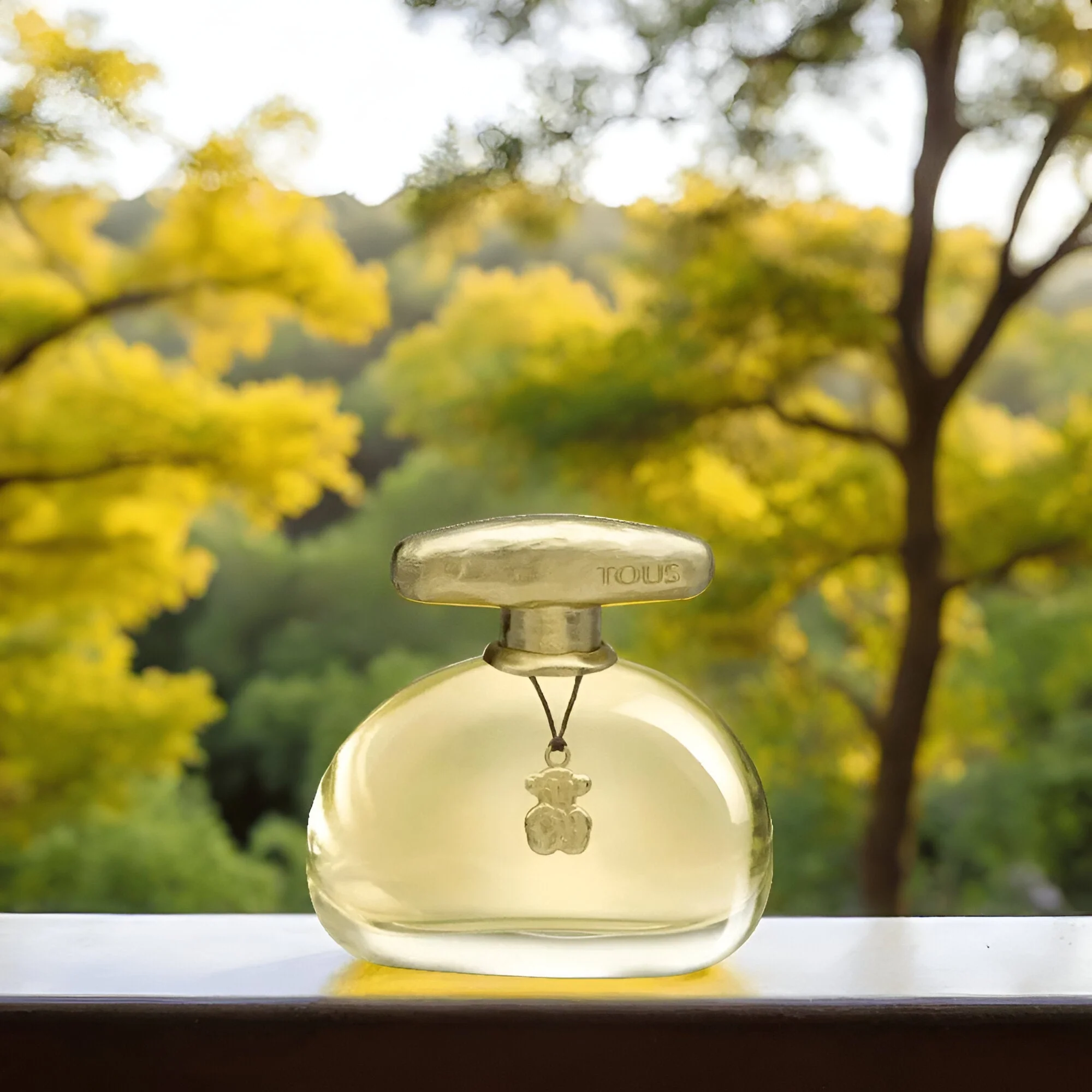 TOUS Touch The Original Gold For Women EDT Gift Set - Image 4