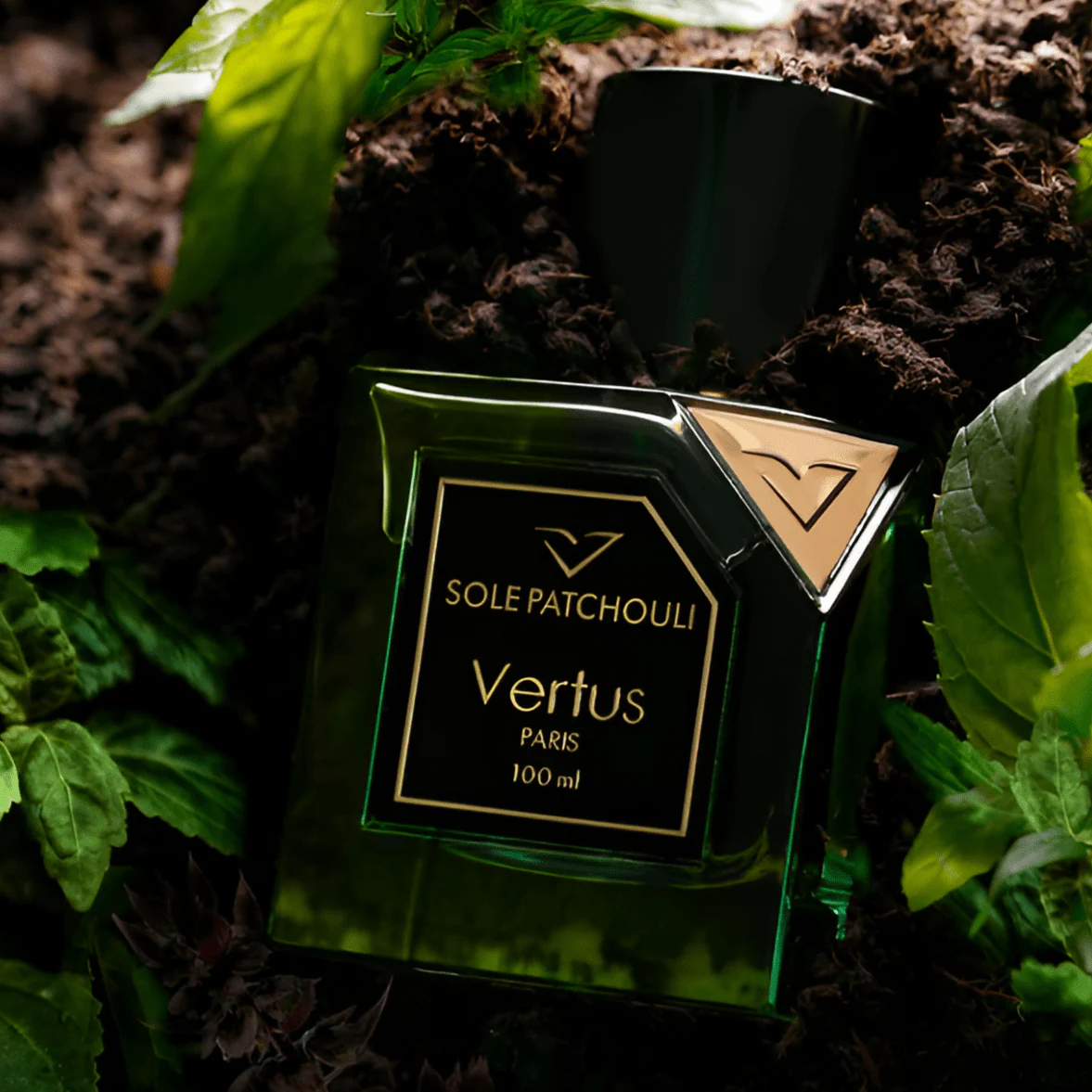 Vertus Sole Patchouli EDP - Image 4